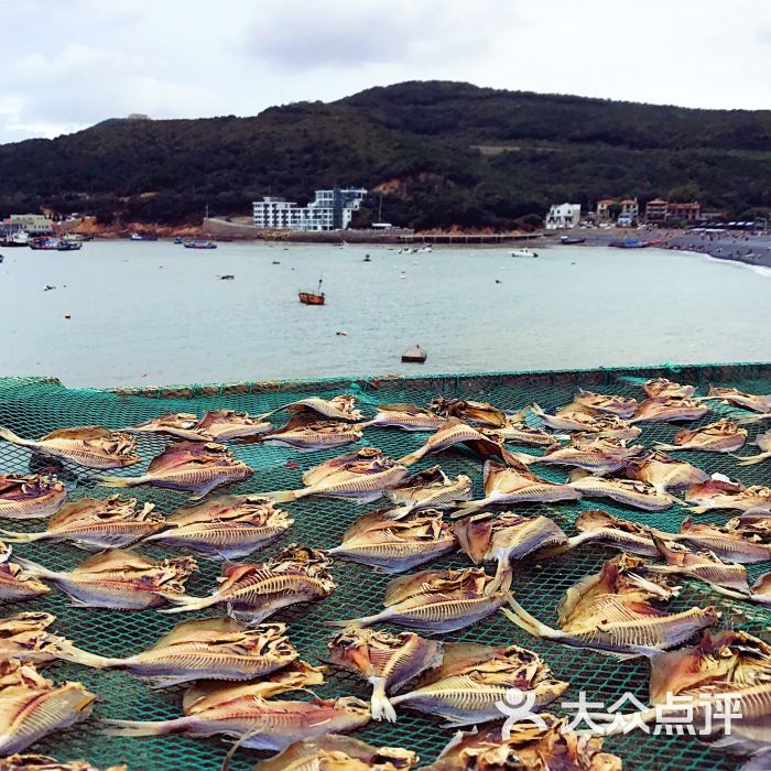 乌石塘景区-景点图片-朱家尖周边游-大众点评网