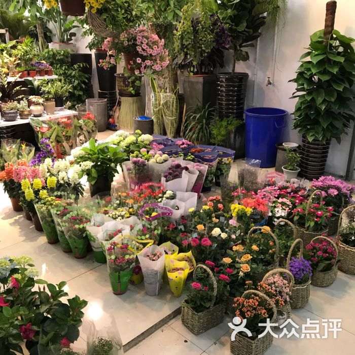 灵石路鲜花批发市场-图片-上海购物-大众点评网