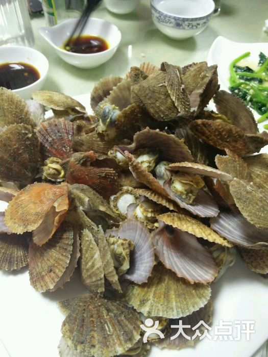 红贝壳