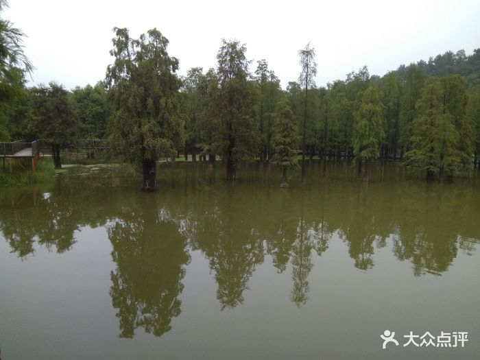 青山湖风景区图片