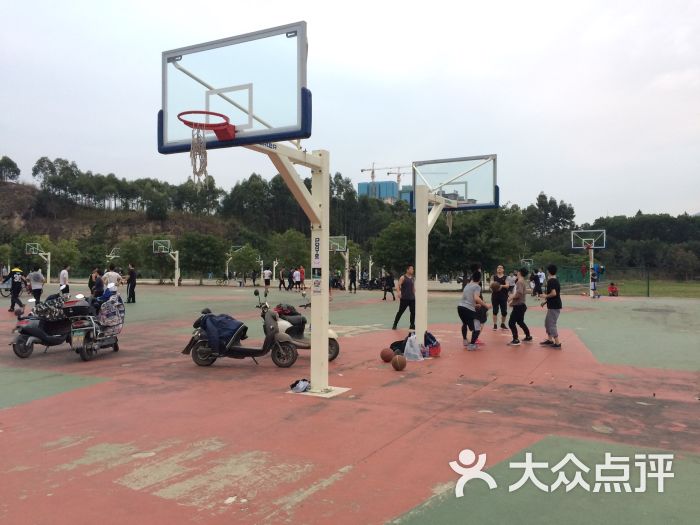 福大室内篮球场图片 - 第1张