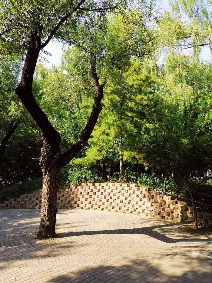 香河园公园-"东城区香河园口袋公园内,绿意盎然,鲜花.