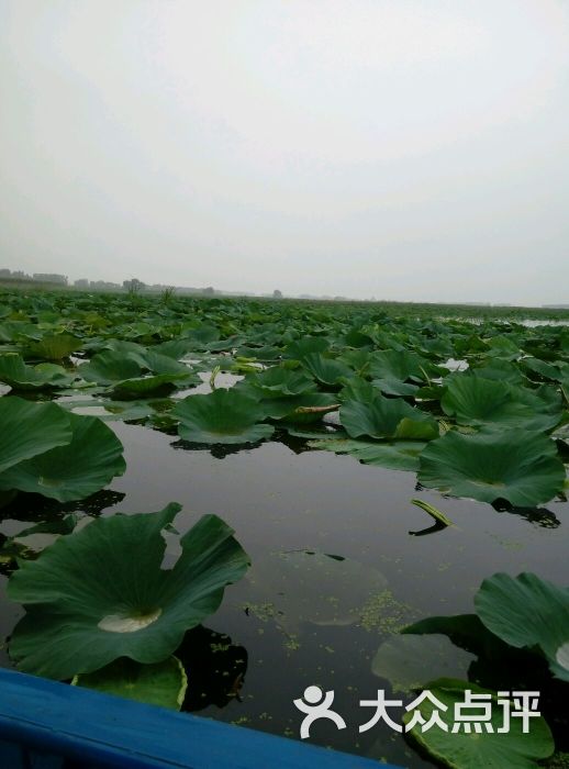 珍珠湖湿地自然保护区图片 - 第2张