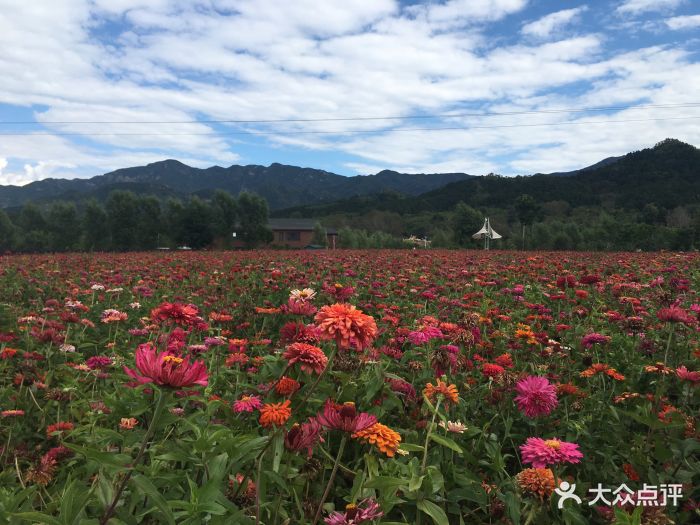 四季花海-图片-延庆区美食-大众点评网