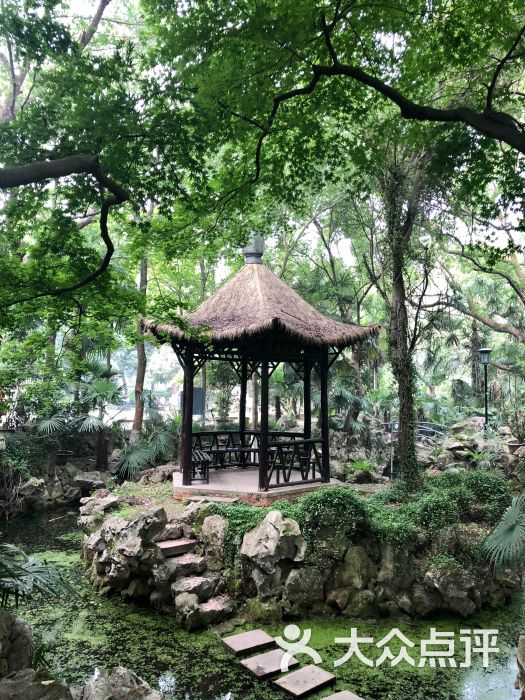 莲花庄公园图片 - 第6张