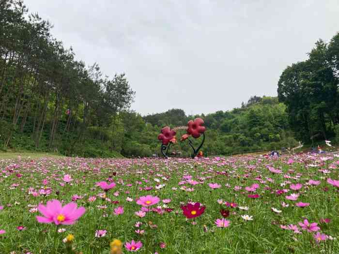 英山四季花海景区