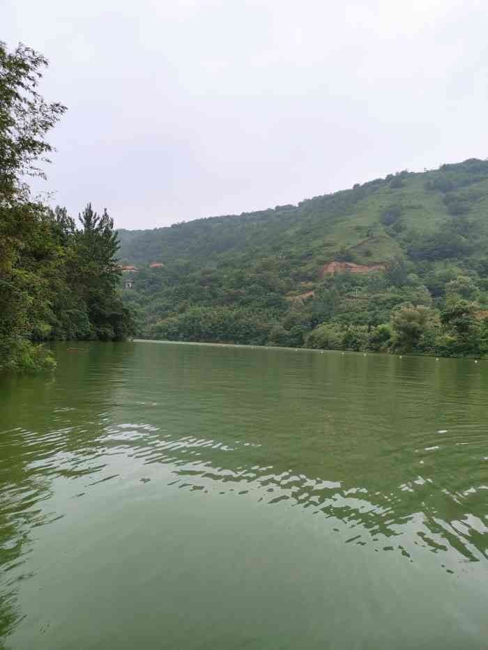 西安鲸鱼沟竹海风景区"爆热的五月,这里真的可以称之为溜娃圣地了.