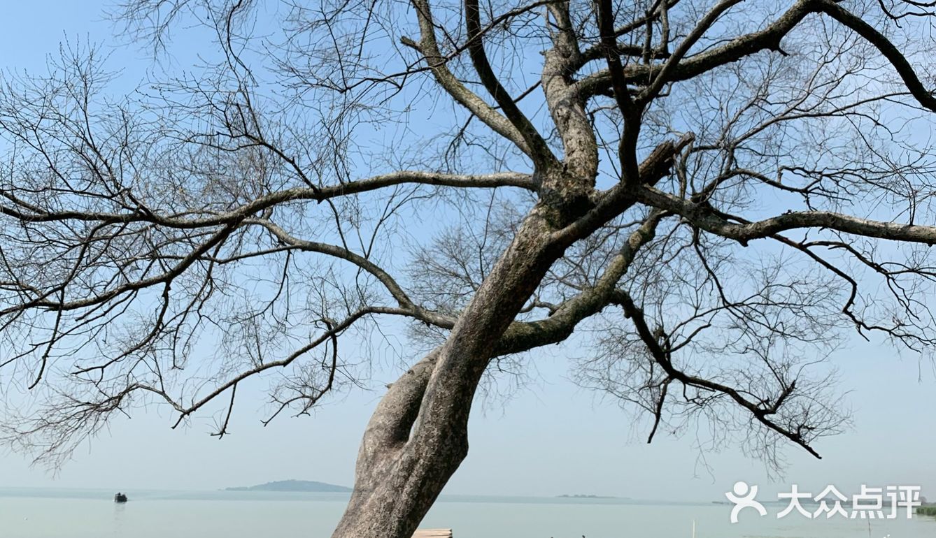 伴幽幽流水 看人世沧桑 村子由一条条青石板路连接