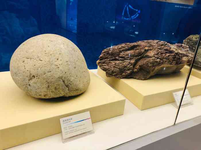 深圳大鹏半岛国家地质公园博物馆