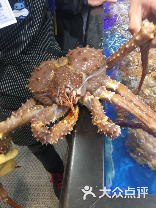 帝王蟹