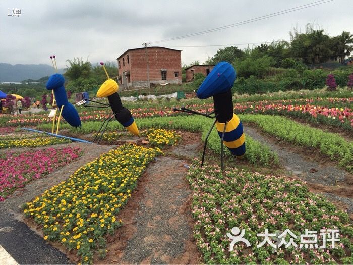 界石花木世界图片 第5张