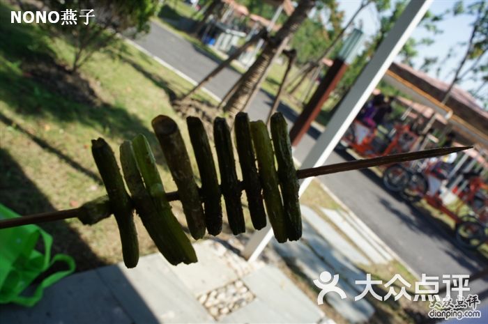 长沙南郊公园烧烤_顾村公园 烧烤 人均(2)