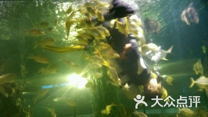 海洋馆(淮南店)图片 - 第127张