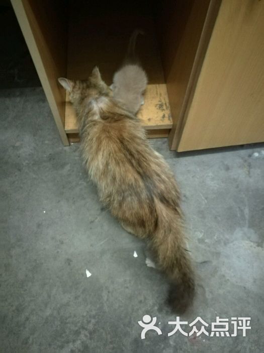 合肥工业大学-研究生公寓-图片-合肥生活服务