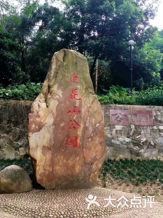 莲花山公园图片 第7张