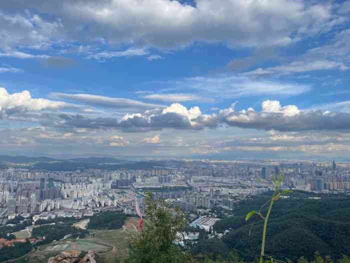 长虫山生态公园风景林-"想来爬这个长虫山很久了,以前一直找不到上.