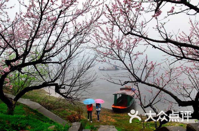 桃花岛图片 - 第5张