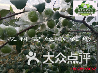 平南丹竹镇gdp_广西平南丹竹镇街图片