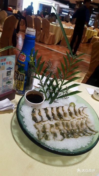 海参刺身