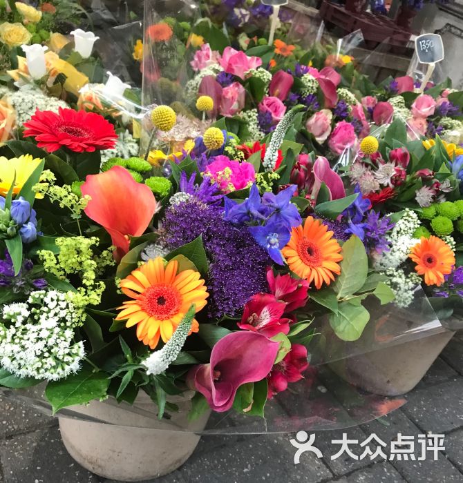 辛格鲜花市场图片 - 第9张