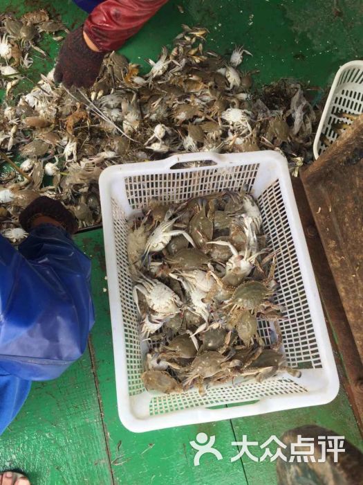 洞头海鲜楼