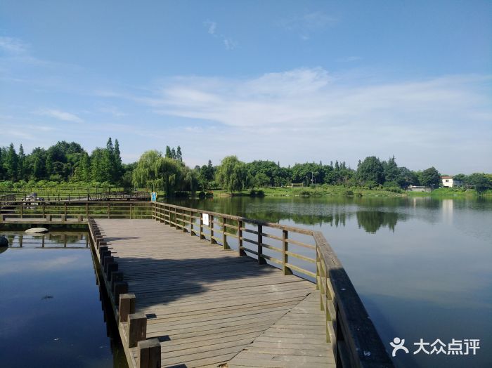 双流县艺术公园图片 - 第35张