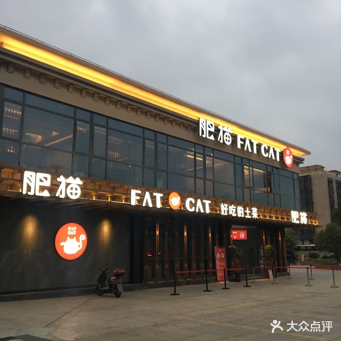 肥猫餐厅(闵行店-环境图片-上海美食-大众点评网