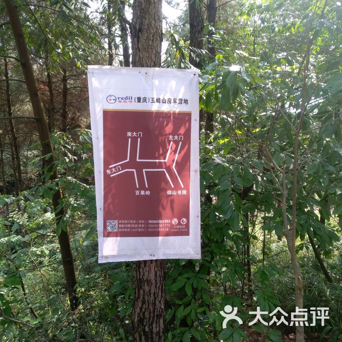 铁山坪森林公园