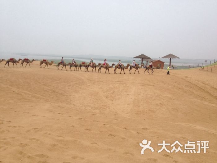 厚田沙漠生态旅游景区图片 - 第3张