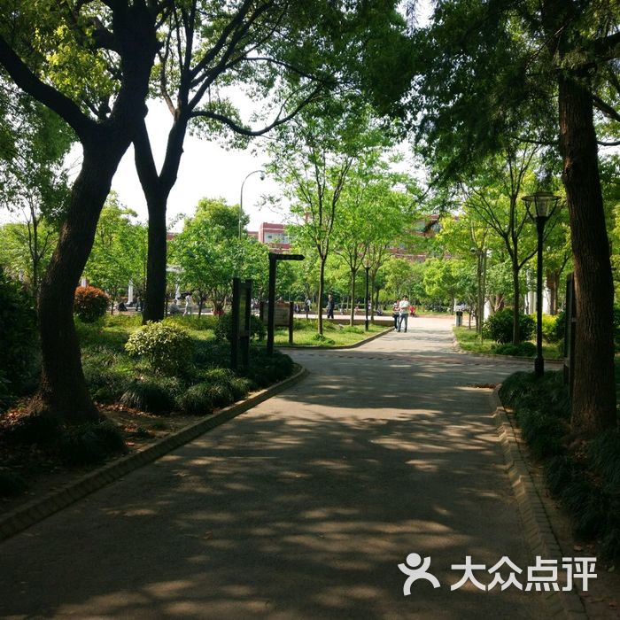 金杨花园