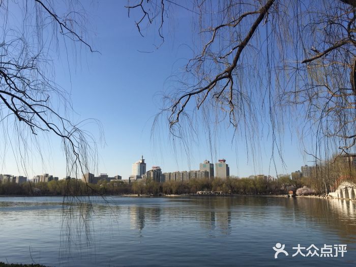 玉渊潭公园图片