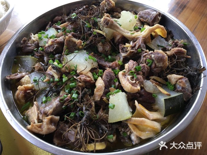 生态农庄-地胆头焖鸭-菜-地胆头焖鸭图片-英德市美食-大众点评网