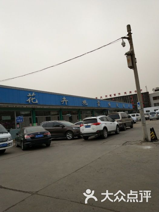 八里桥花卉市场图片 第1张