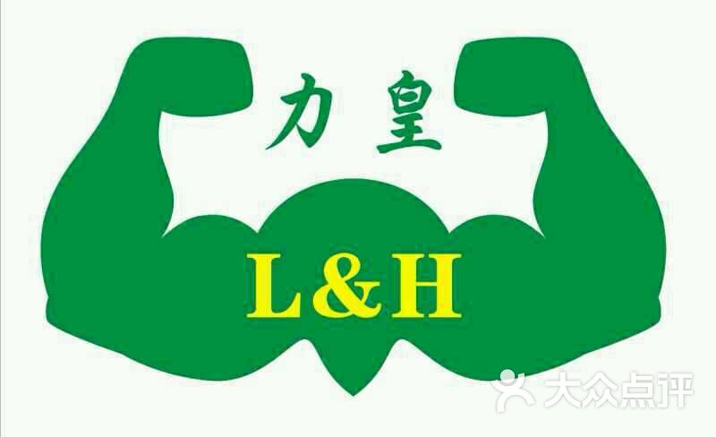 力皇国际健身logo图片 第5张