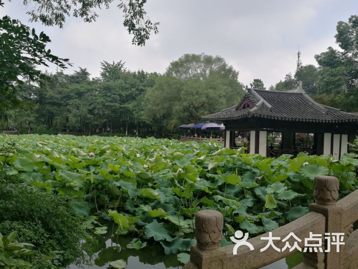 莲花庄公园-图片-湖州周边游-大众点评网