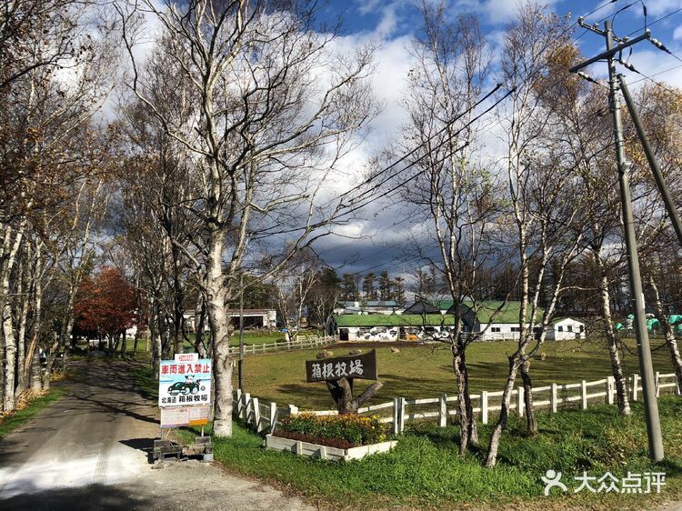 北海道箱根牧场图片 第13张