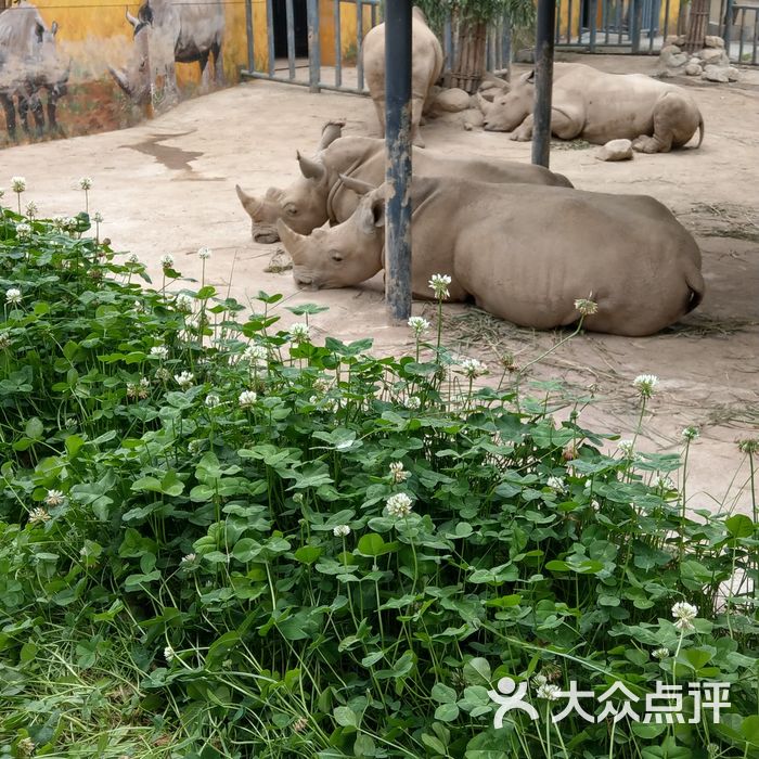 西安秦岭野生动物园