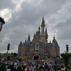 上海迪士尼游人均费用_上海迪士尼图片(2)