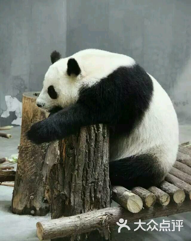 青岛动物园-图片-青岛周边游