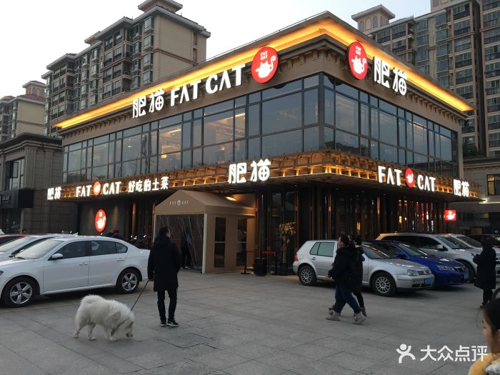 肥猫餐厅(闵行店-环境图片-上海美食-大众点评网