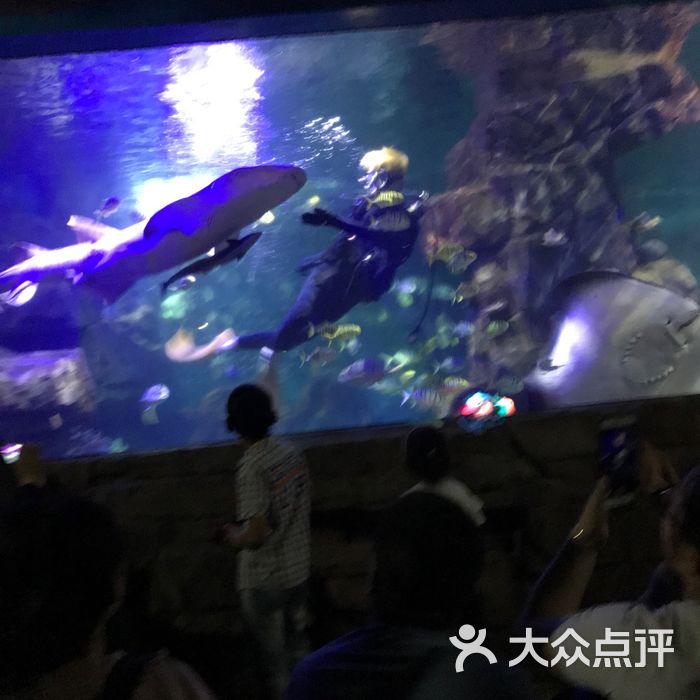 蠡湖中央公园海底世界