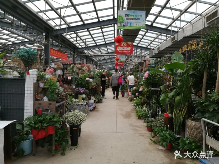徐州植物园花卉奇石市场图片
