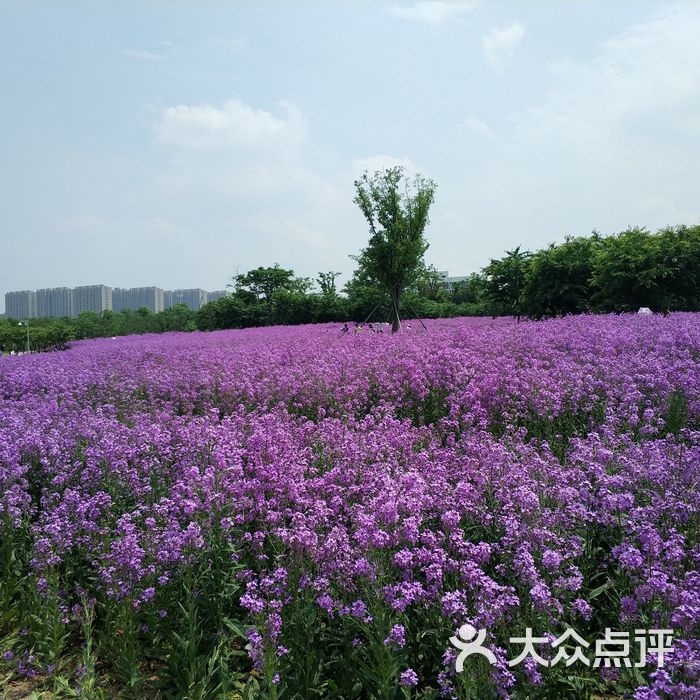 宁波植物园景点图片-北京植物园-大众点评网