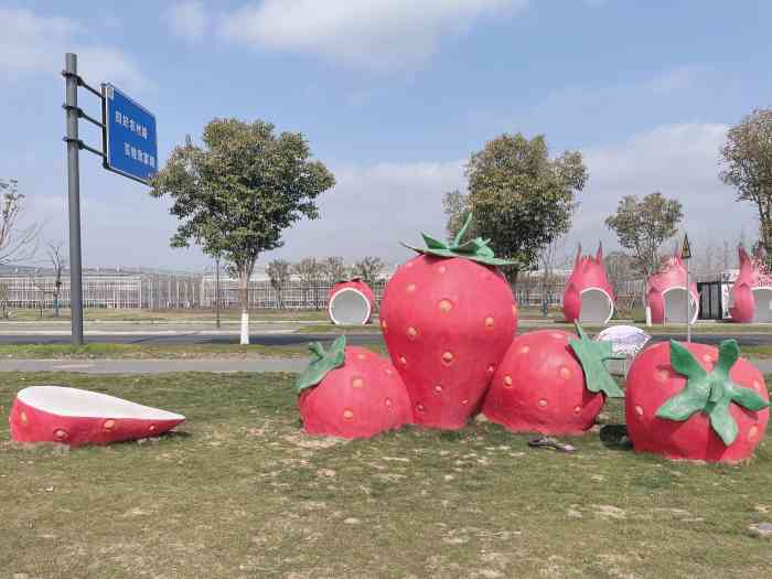 精品草莓园-"位于傅家边这里,是一家精品草莓园,味道.