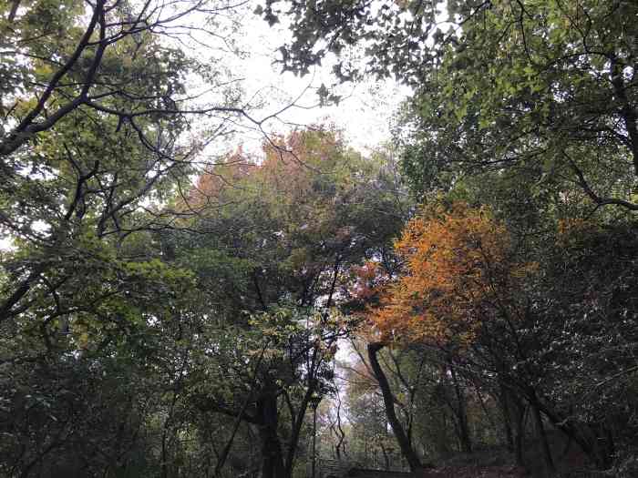 北山公园-"北山公园一日游,北山公园,在萧山南站附近.