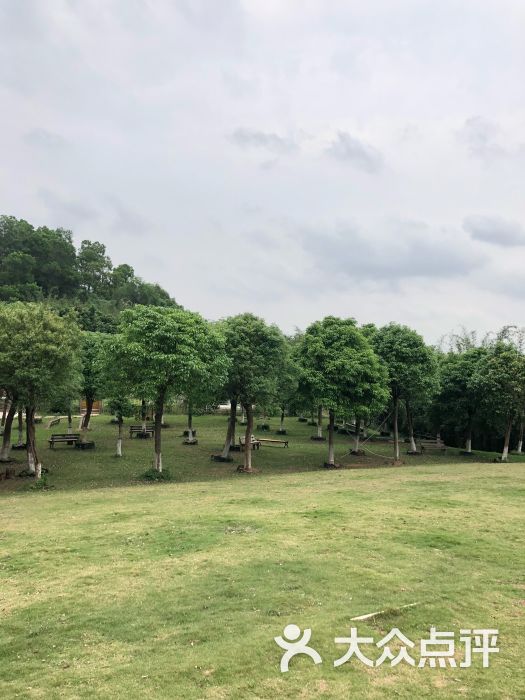格林东庄营地-图片-广州周边游-大众点评网