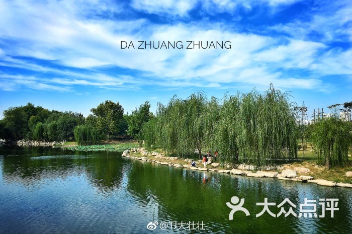 西沽公园图片 - 第5张