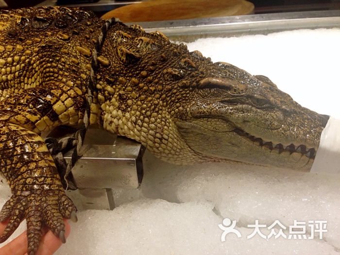 海鼎荟海鲜姿造-图片-厦门美食