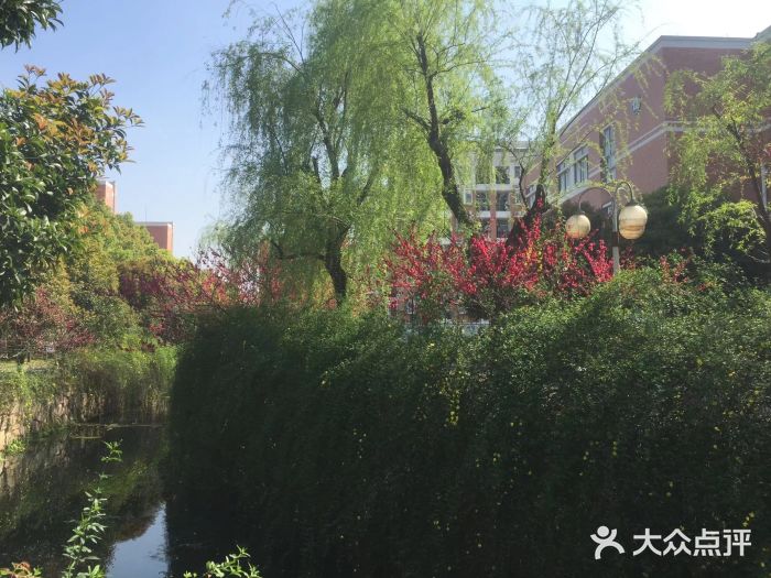 浙江省回浦中学图片