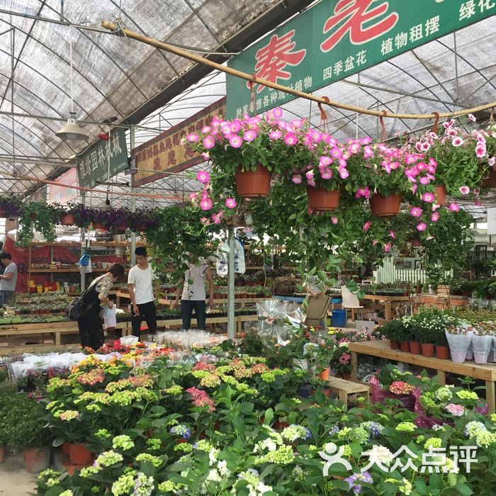 三圣乡花卉市场图片-北京花店-大众点评网